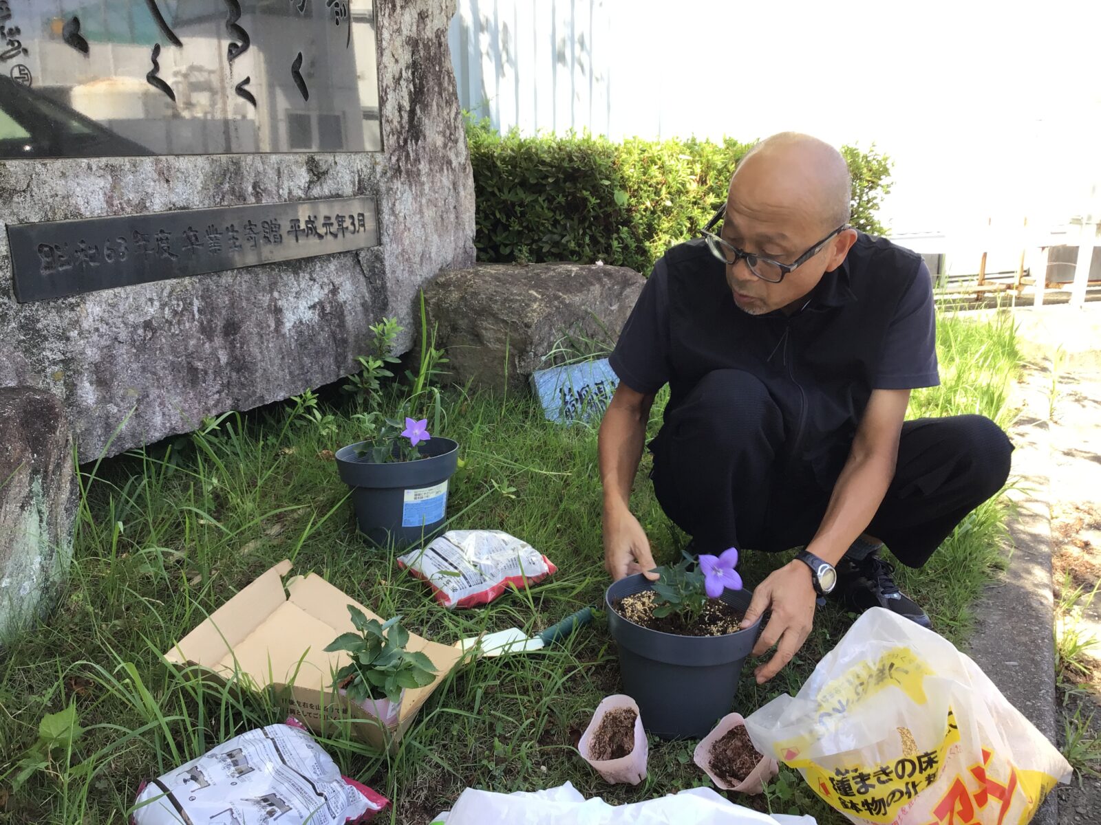 浦木先生と市の花「ききょう」